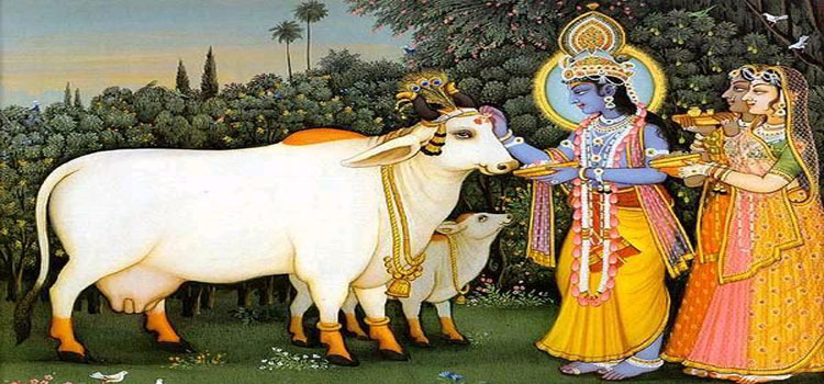 Gho Puja – Worship of Cow and its significance in Sanatan Dharma