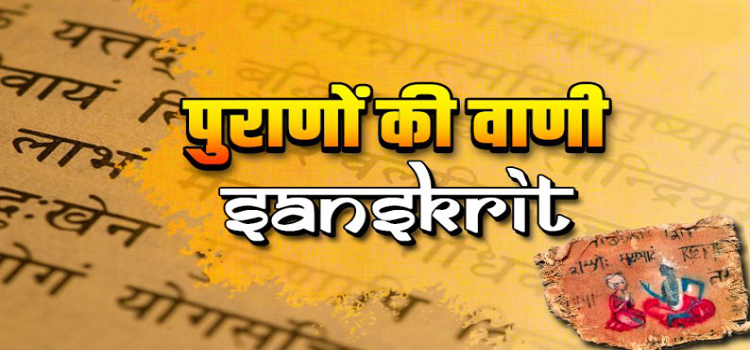 A Function To Celebrate Sanskrit