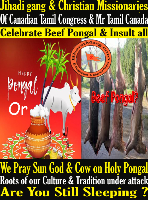 Jihadi gang & Christian Missionaries Celebrate Beef Pongal & Insult all !!