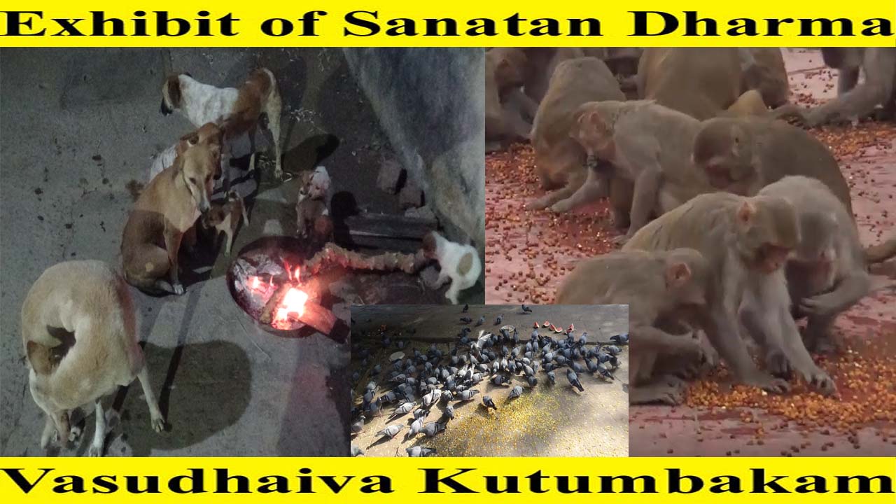 Exhibit of Sanatan Dharma – Vasudiva Kudumbakam