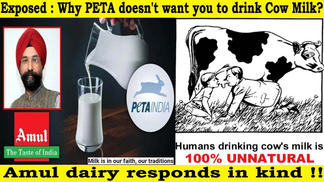 Exposed : Why PETA doesn’t want you to drink Cow Milk?