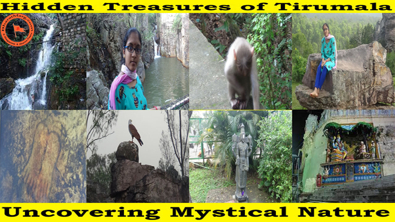 Hidden Treasures of Tirumala Tirupati !!