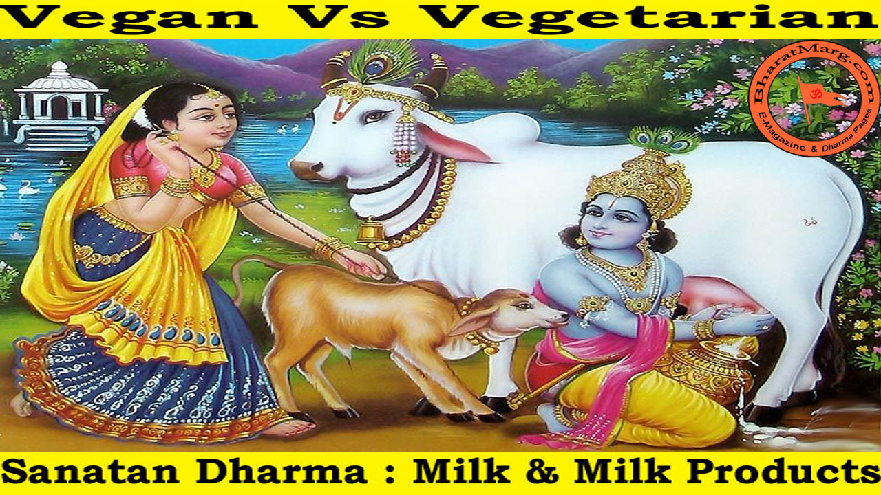 Know why Krishna is a Vegetarian and not Vegan !!