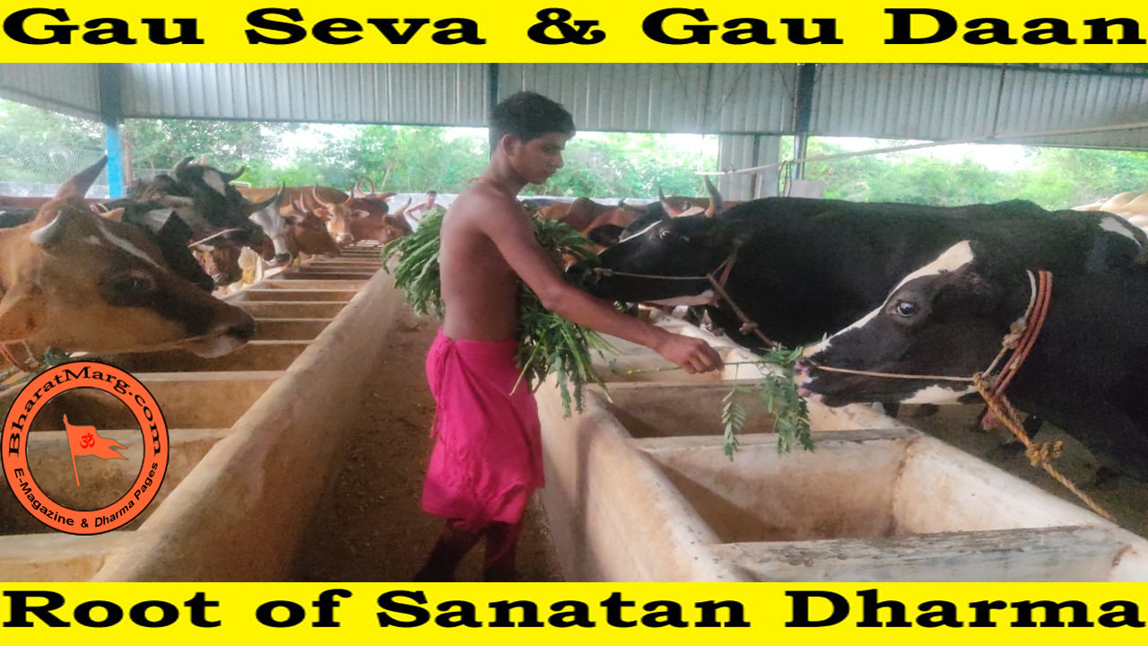 Gau Seva & Gau Daan – Root of Sanatan Dharma !!