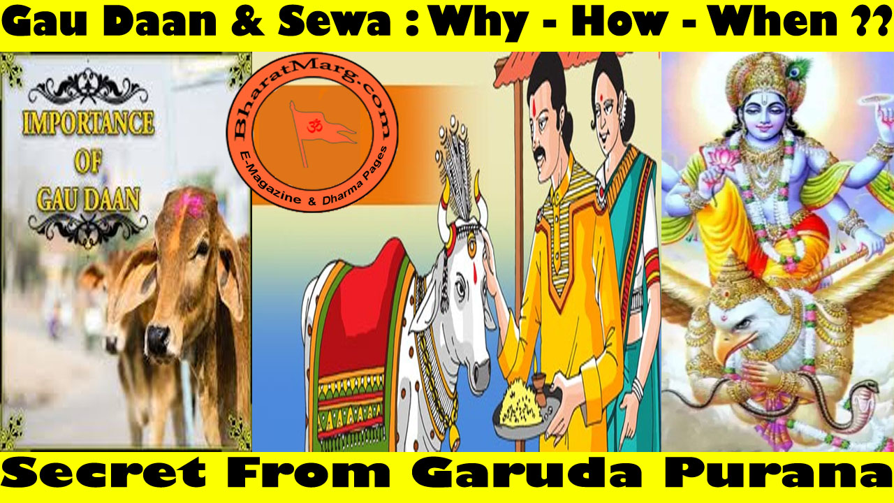 Gau Daan & Sewa : Why – How – When ?? Best Kept Secret !!